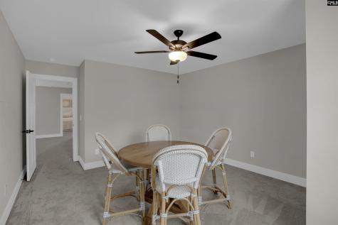 132 Irish Setter Street Chapin SC 29036