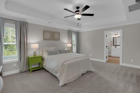 132 Irish Setter Street Chapin SC 29036