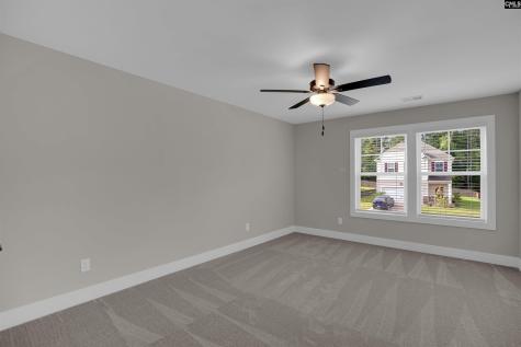 132 Irish Setter Street Chapin SC 29036