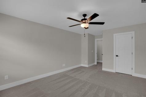 132 Irish Setter Street Chapin SC 29036
