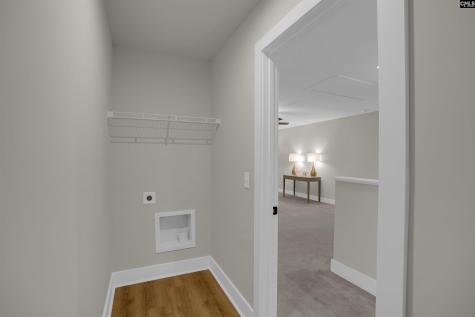 132 Irish Setter Street Chapin SC 29036