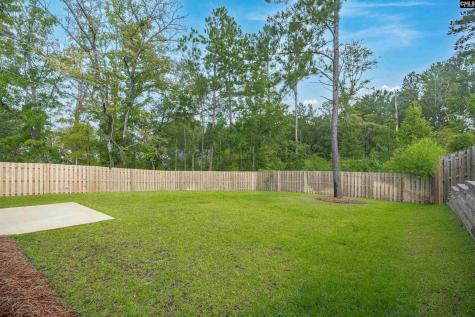 132 Irish Setter Street Chapin SC 29036