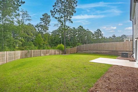 132 Irish Setter Street Chapin SC 29036