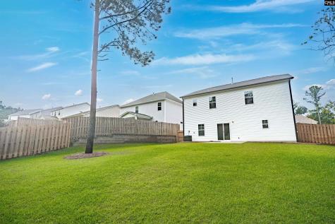 132 Irish Setter Street Chapin SC 29036