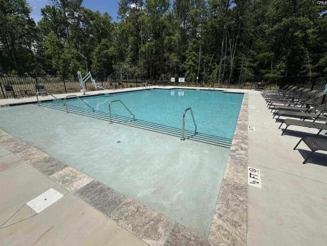 132 Irish Setter Street Chapin SC 29036