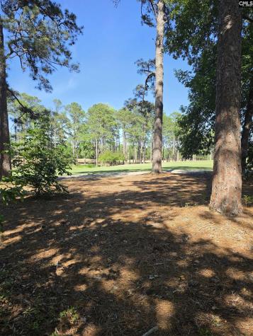 104 Creekside Cottage Court Blythewood SC 29016