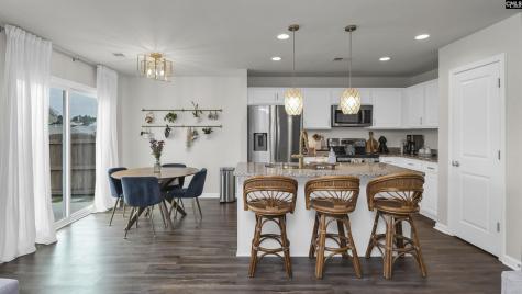 2348 Trakand Drive Lexington SC 29073
