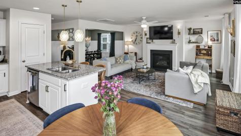 2348 Trakand Drive Lexington SC 29073