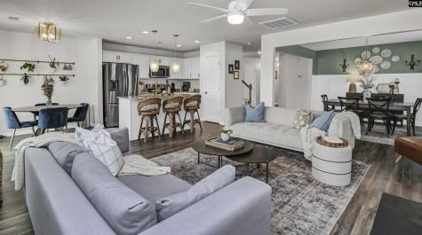 2348 Trakand Drive Lexington SC 29073