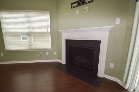 108 Misty Dew Lane Lexington SC 29072