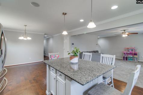 511 Connecticut Avenue Chapin SC 29036