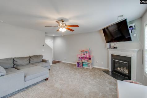 511 Connecticut Avenue Chapin SC 29036