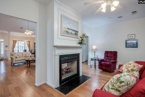 124 Cobblers Glen Court Lexington SC 29072