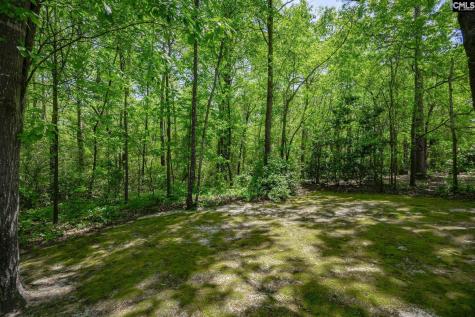 124 Cobblers Glen Court Lexington SC 29072