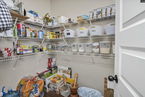 1055 Grey Duck Lane Blythewood SC 29016