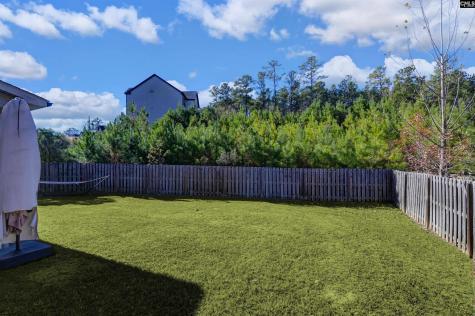 1055 Grey Duck Lane Blythewood SC 29016