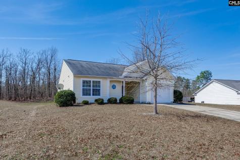 331 Freeman Drive Gaston SC 29053-8127
