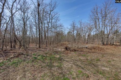 331 Freeman Drive Gaston SC 29053-8127