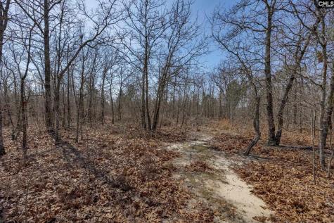 331 Freeman Drive Gaston SC 29053-8127