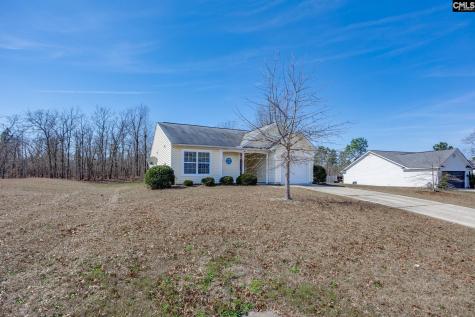 331 Freeman Drive Gaston SC 29053-8127