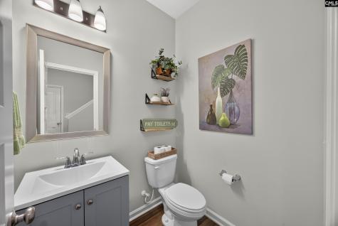 177 Mount Faber Drive Lexington SC 29072