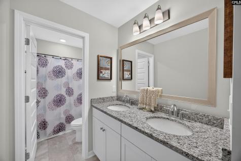177 Mount Faber Drive Lexington SC 29072