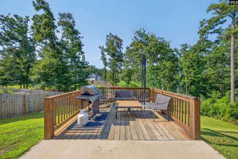 177 Mount Faber Drive Lexington SC 29072