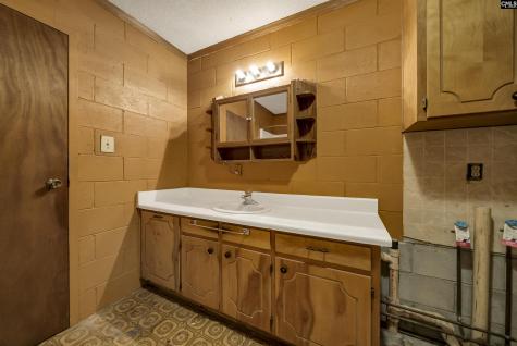 467 Collum Landing Road Batesburg SC 29006-8343