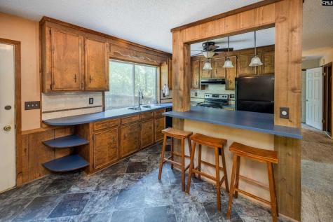 841 Foxden Road Gilbert SC 29054