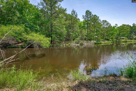 841 Foxden Road Gilbert SC 29054