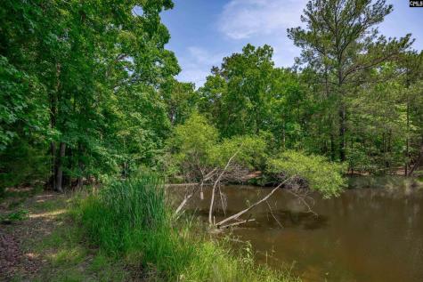 841 Foxden Road Gilbert SC 29054
