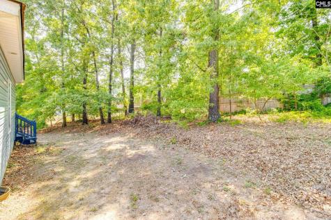 25 St Andrews Place Court Columbia SC 29210-6681