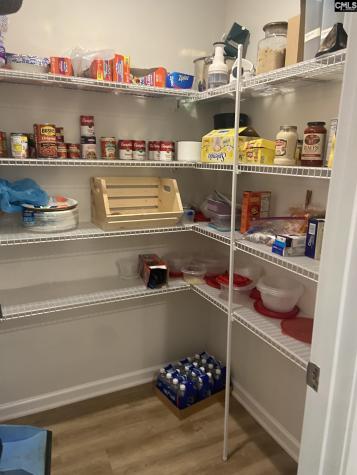 296 Wahoo Circle Irmo SC 29063