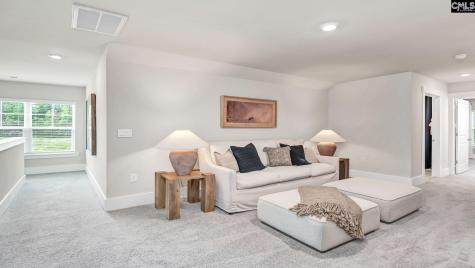 248 Livingston Woods Drive Irmo SC 29063
