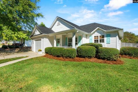 648 Park Road Lexington SC 29072