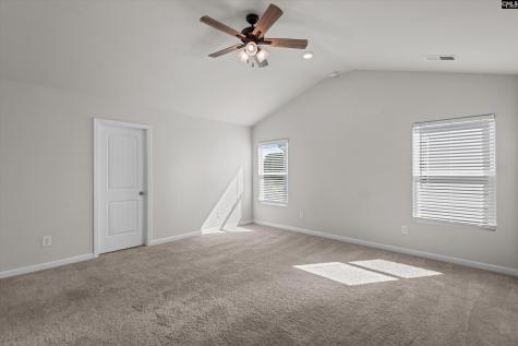 607 Wild Tulip Court Gilbert SC 29054