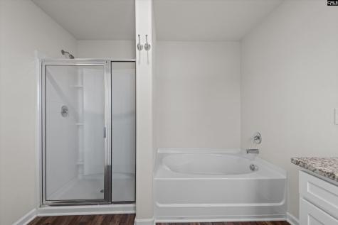 607 Wild Tulip Court Gilbert SC 29054