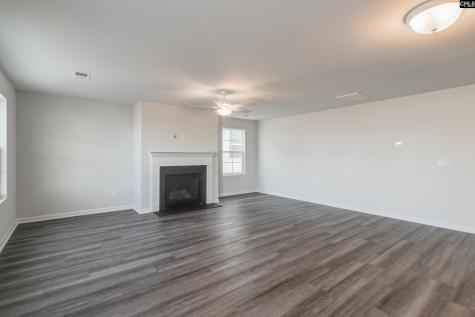 3679 Stedding Place Lexington SC 29073