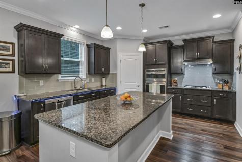 238 Wading Bird Loop Blythewood SC 29016