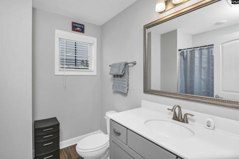 238 Wading Bird Loop Blythewood SC 29016