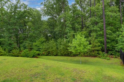 238 Wading Bird Loop Blythewood SC 29016