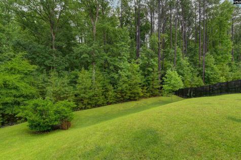 238 Wading Bird Loop Blythewood SC 29016