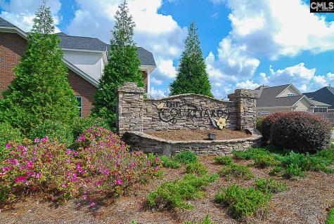 238 Wading Bird Loop Blythewood SC 29016