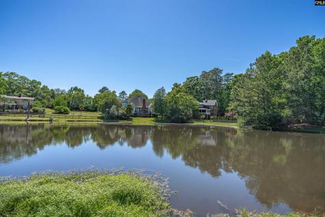 115 Natalie Lane Lexington SC 29072-0000