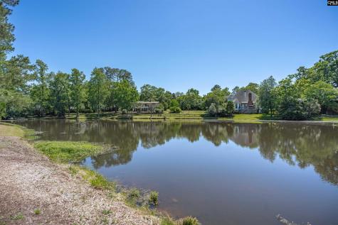 115 Natalie Lane Lexington SC 29072-0000