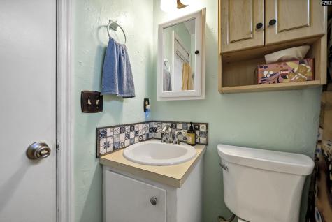 106 Walnut Creek Court Lexington SC 29073-8222