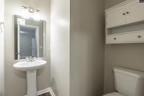 29 Wild Iris Court Columbia SC 29209
