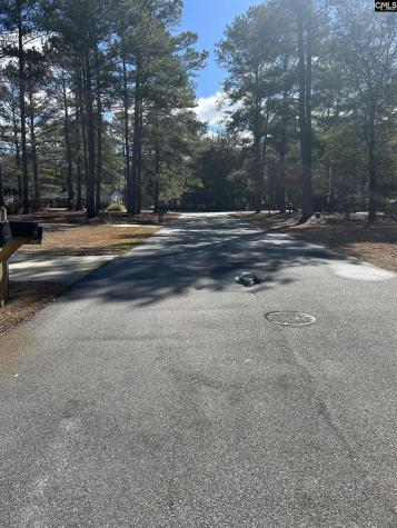 213 Green Drive Darlington SC 29532