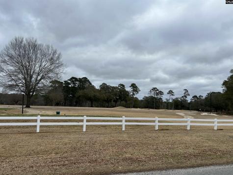 213 Green Drive Darlington SC 29532
