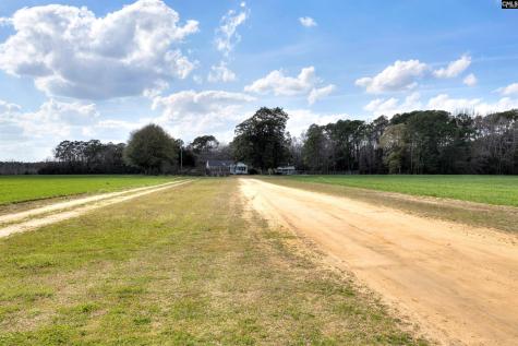 1404 Dog Island Road Bishopville SC 29010